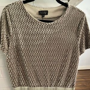 TOPSHOP Velvet Top
